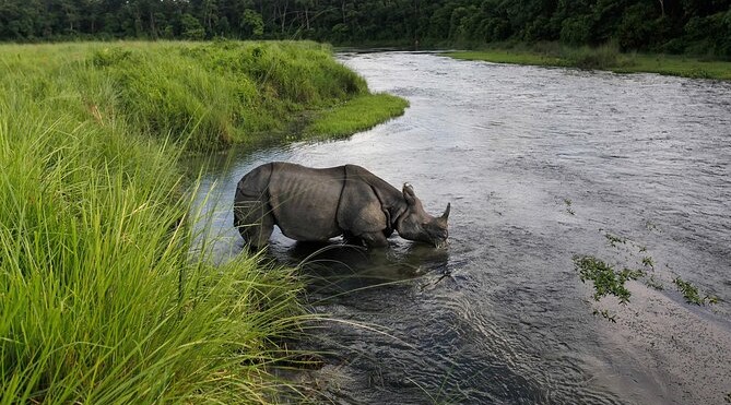Chitwan